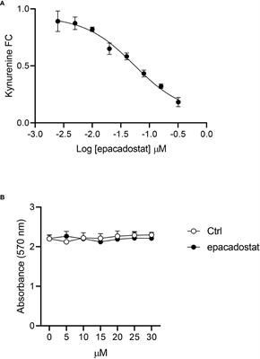 The catalytic inhibitor epacadostat can affect the non-enzymatic function of IDO1